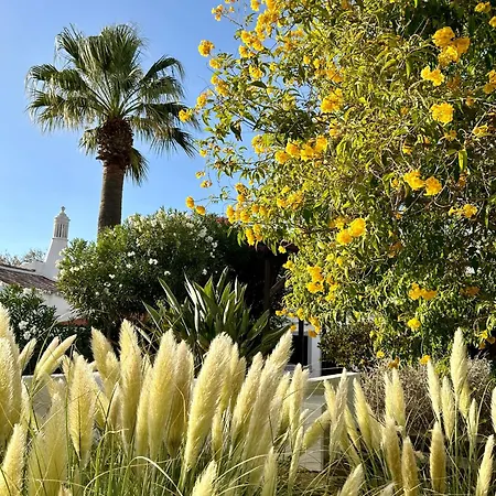 Hébergement de vacances Stilvolles Architekten-cottage Mit Pool *